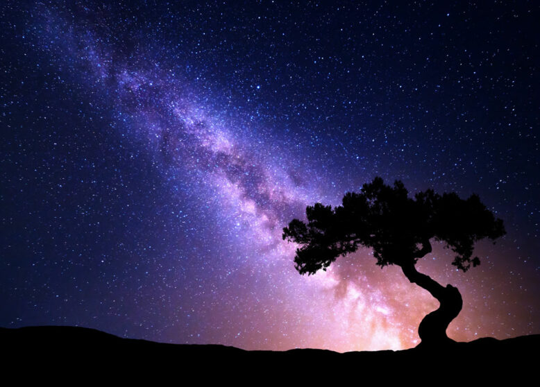 Milky Way and tree on the hill.