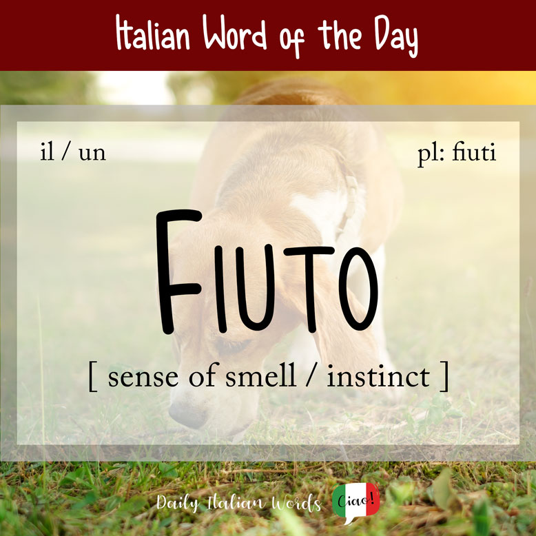 cover image with the word “fiuto” and a dog sniffing in the background