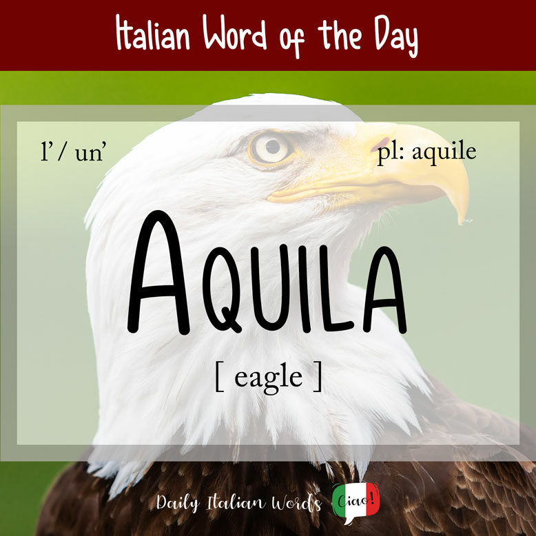 cover image with the word “aquila” and its translation written on a notepad next to a cup of coffee