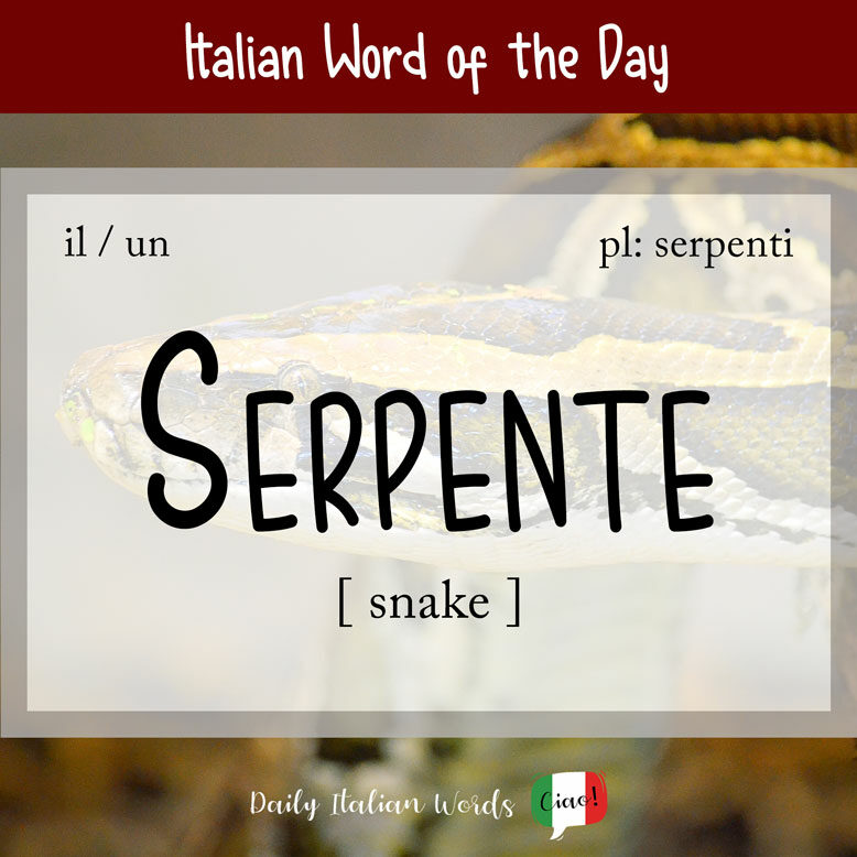 cover image with the word “serpente” and a snake in the background