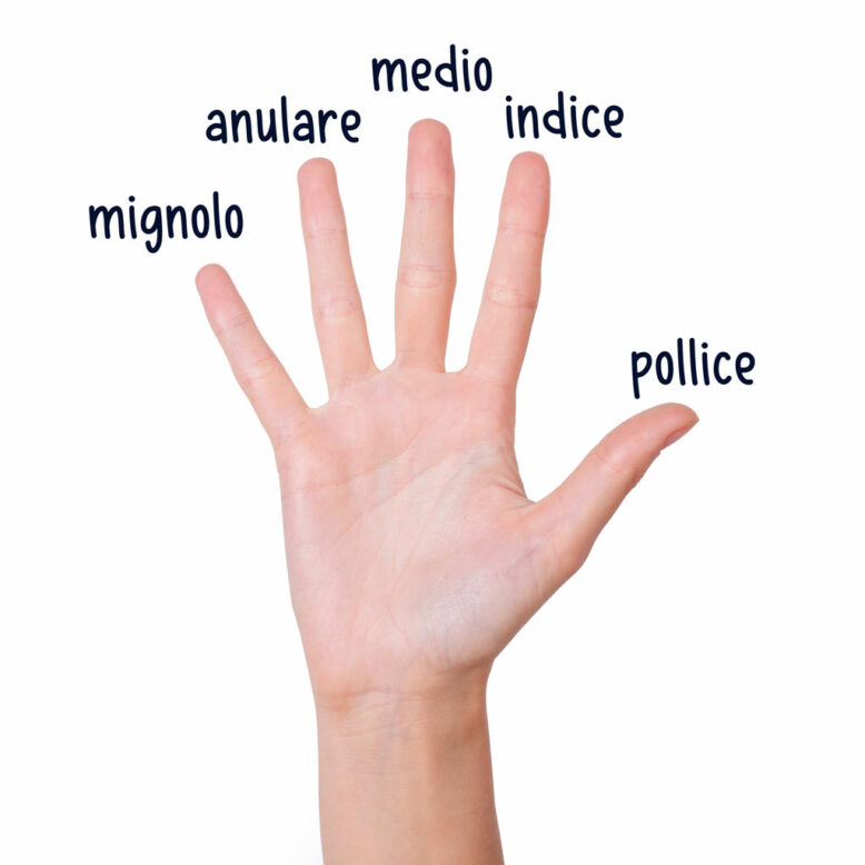 Female woman hand with finger names in Italian