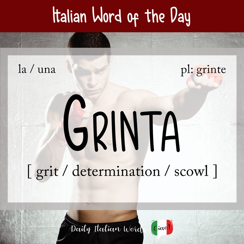 cover image with the word “grinta” and a boxer in the background