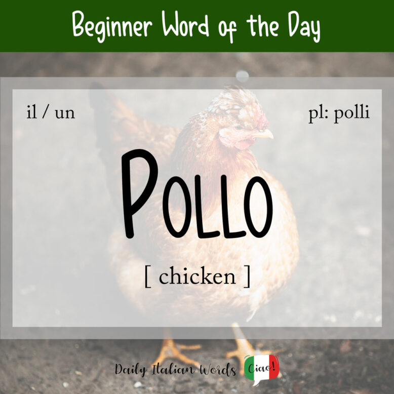 the italian word for chicken is pollo