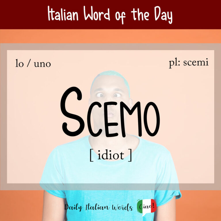 Italian Word of the Day: Scemo (idiot / silly) - Daily Italian Words