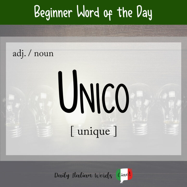 the italian word for unique
