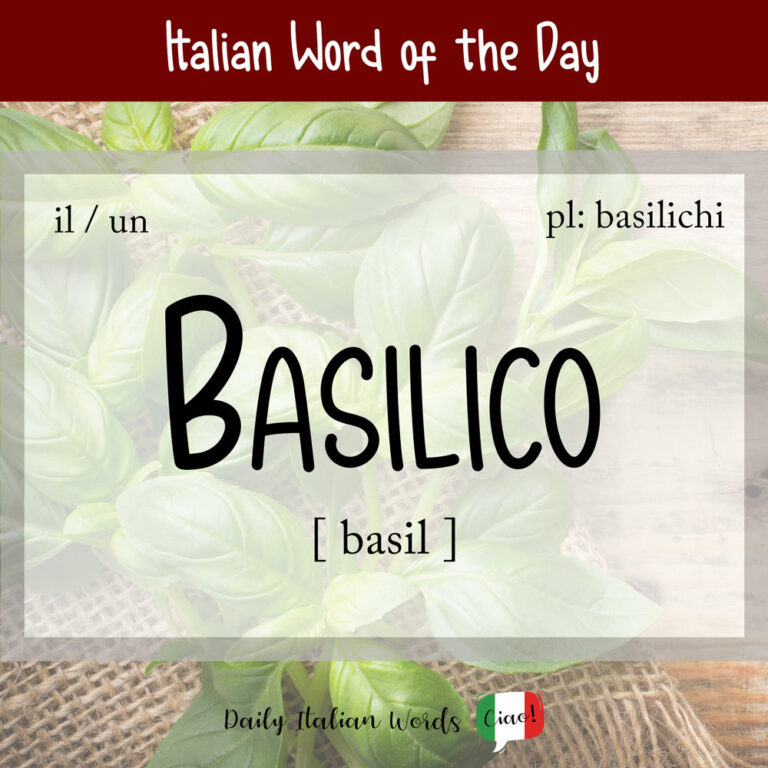 Italian Word of the Day Basilico (basil) Daily Italian Words