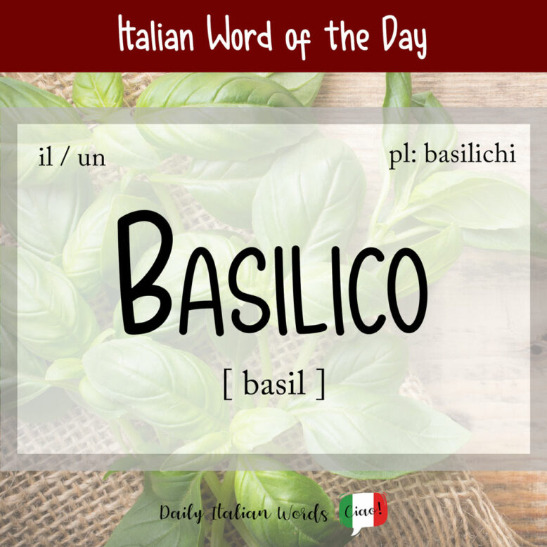 the italian word for basil