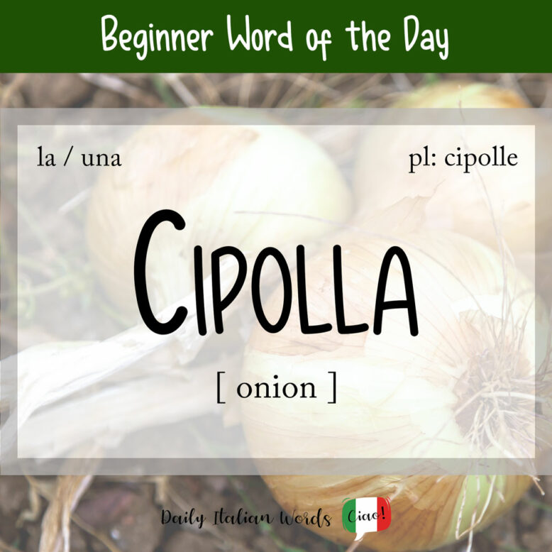 italian word for onion