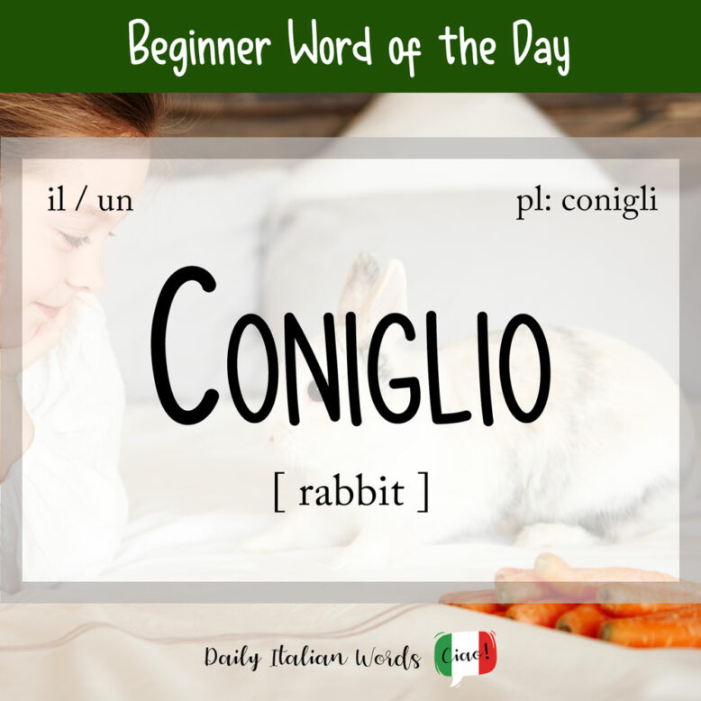 italian word for rabbit