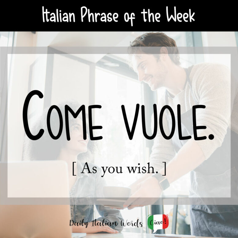 Italian phrase for "as you wish"