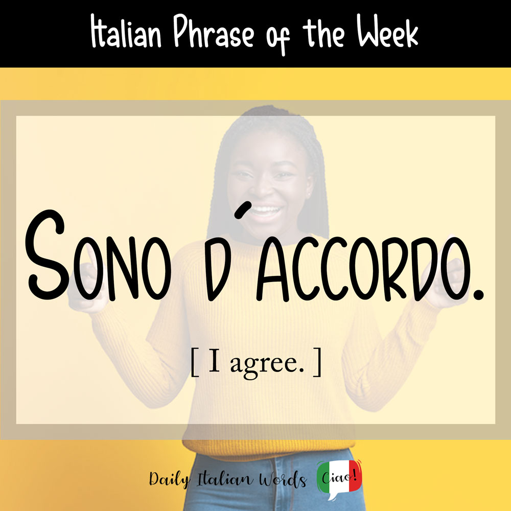 Italian phrase "Sono d'accordo"