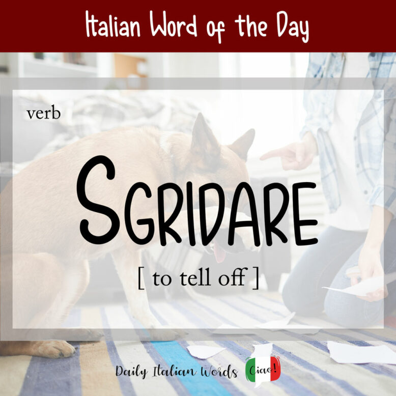 the italian word for to tell off