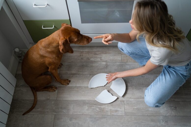 Owner telling off her dog for breaking a plate.