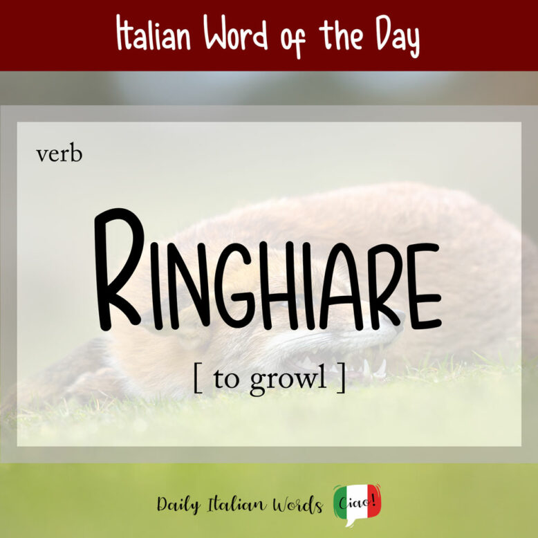 italian word for growl