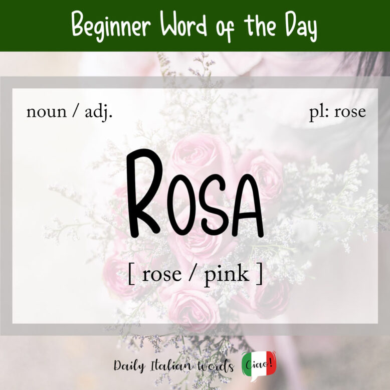 italian word for rose
