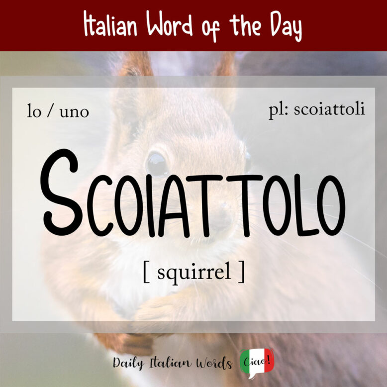 italian word for squirrel