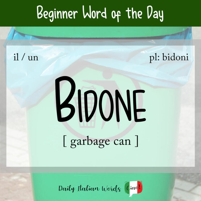 Italian word for garbage can