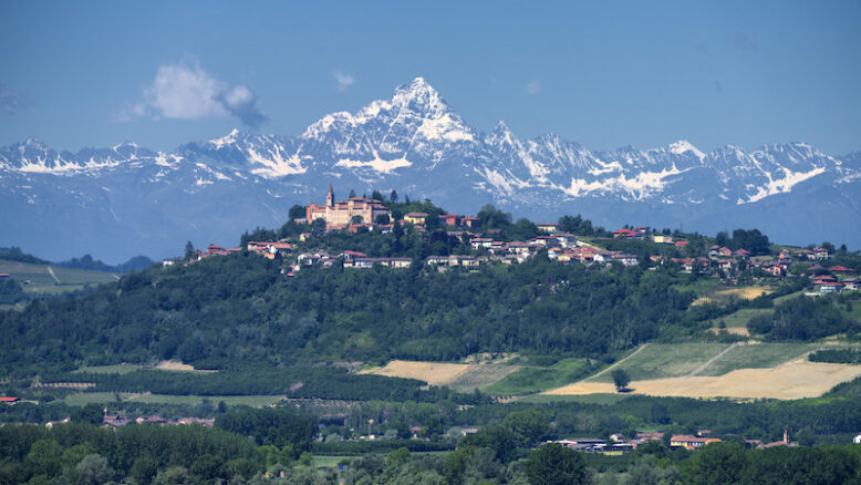 Rural landscape of vineyards at springtime in Langhe, Cuneo province, Piedmont, Italy, Unesco World Heritage Site.