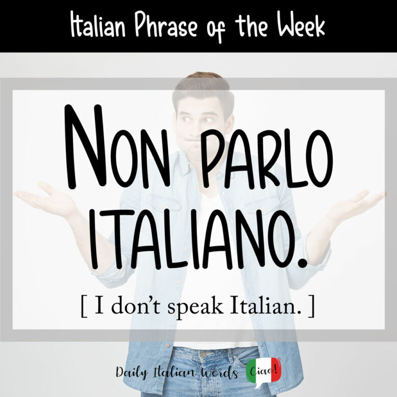 i don't speak italian in italian