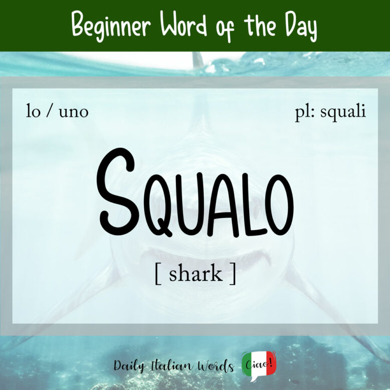 italian word for shark