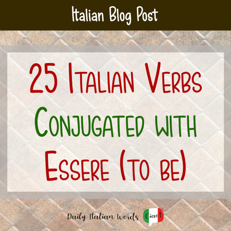 verbs conjugated with essere in italian