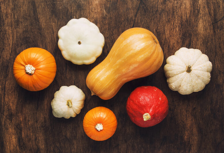 Set of colorful pumpkins on wood flat lay empty space.
