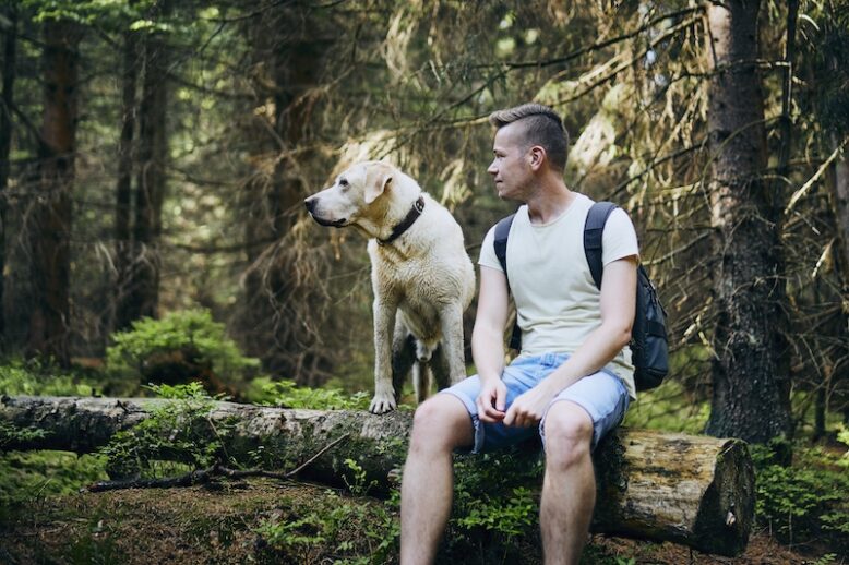 Tourist with dog in forest. Man and his labrador retriever resting on fallen tree.