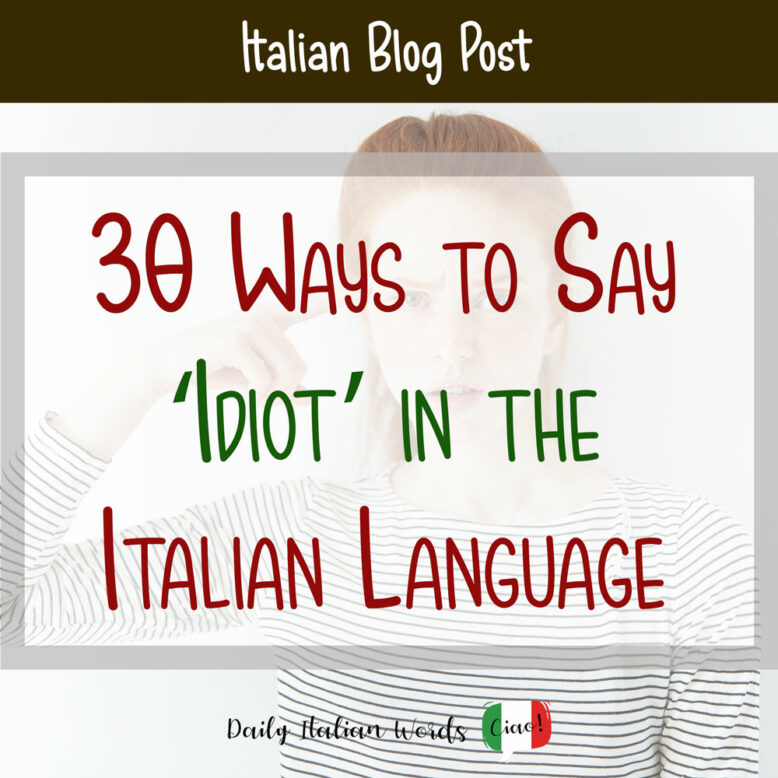 how to say idiot in italian