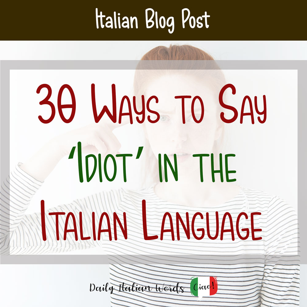 How to Say 'Idiot' in the Italian Language: 30 Different Ways