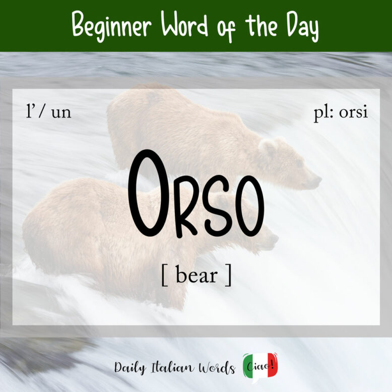 italian word for bear