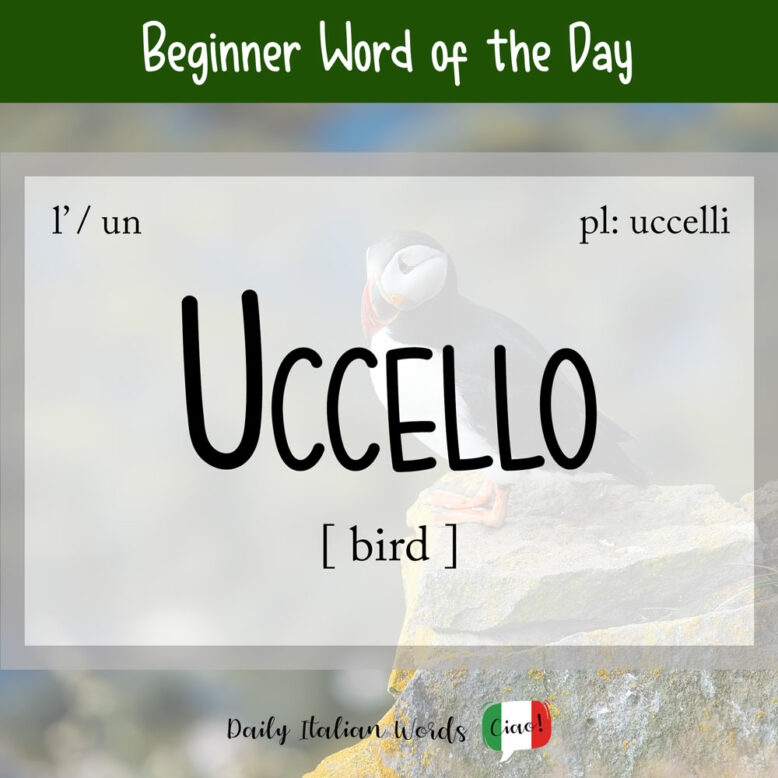 italian word for bird