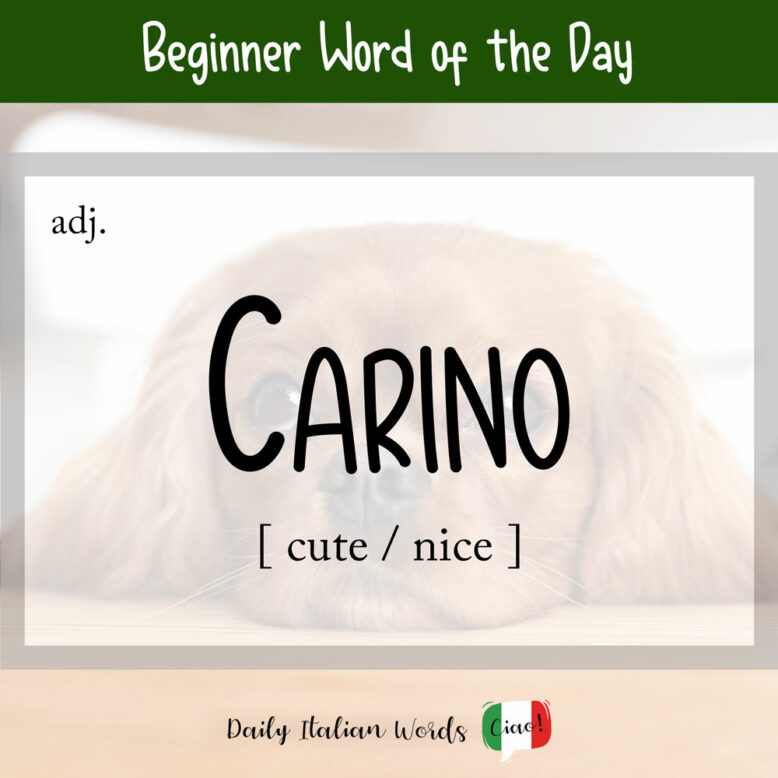 italian word for cute