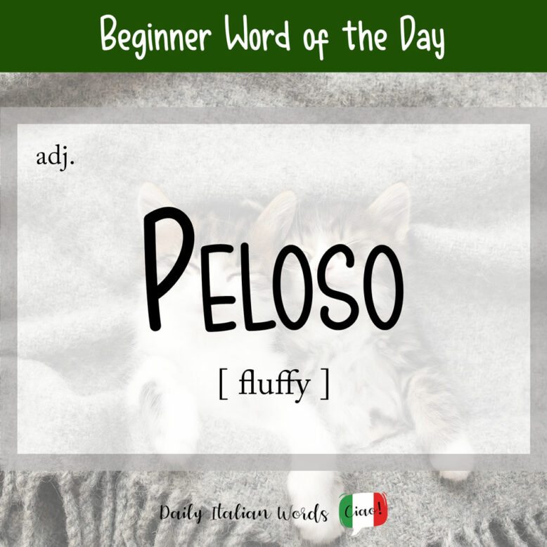 italian word for fluffy