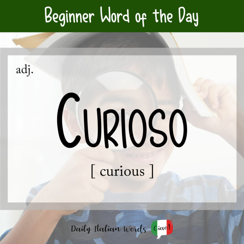 italian word for curious