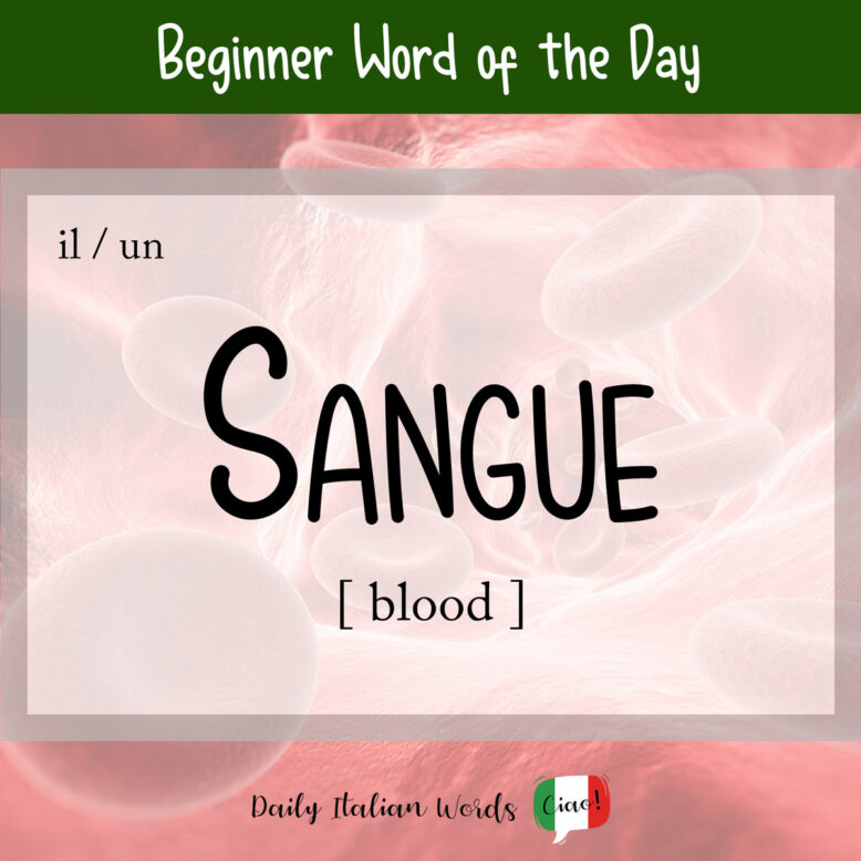 italian word for blood
