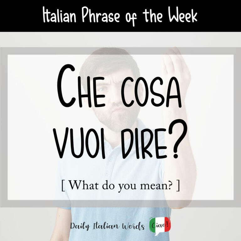 homework in italiano cosa vuol dire