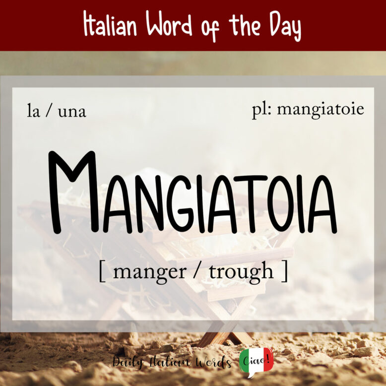 italian word for manger