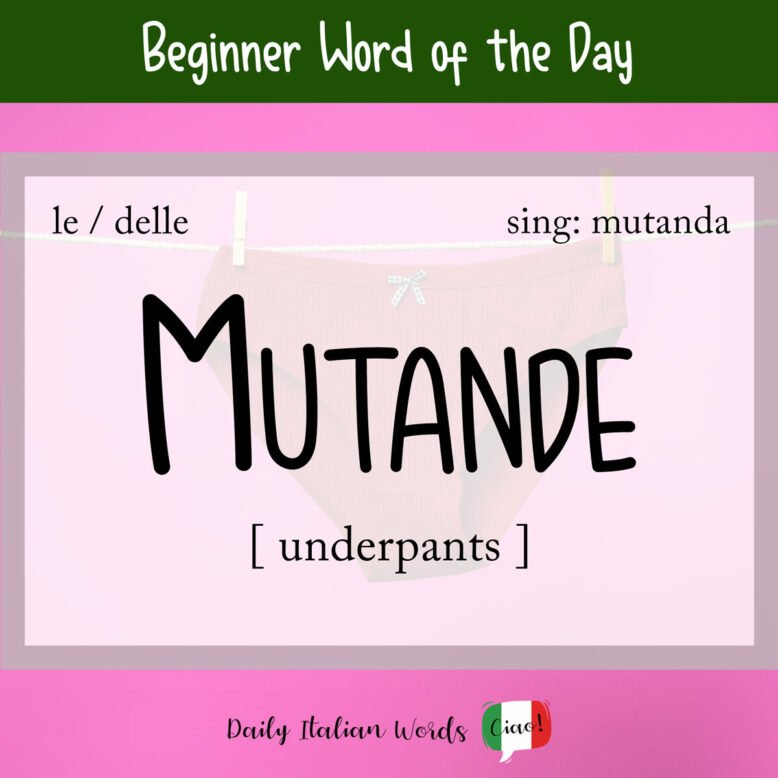 italian word for underpants