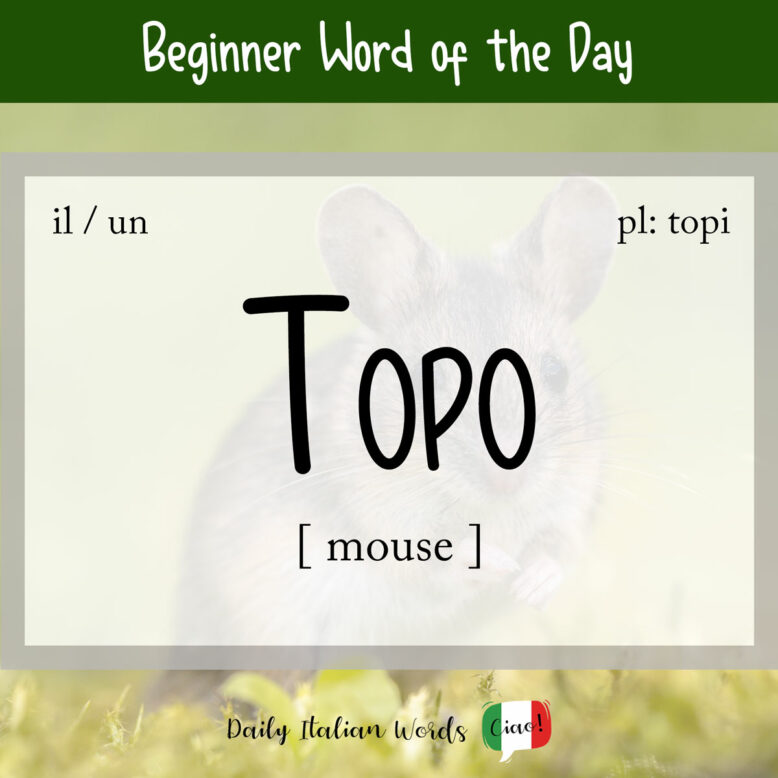 italian word for mouse