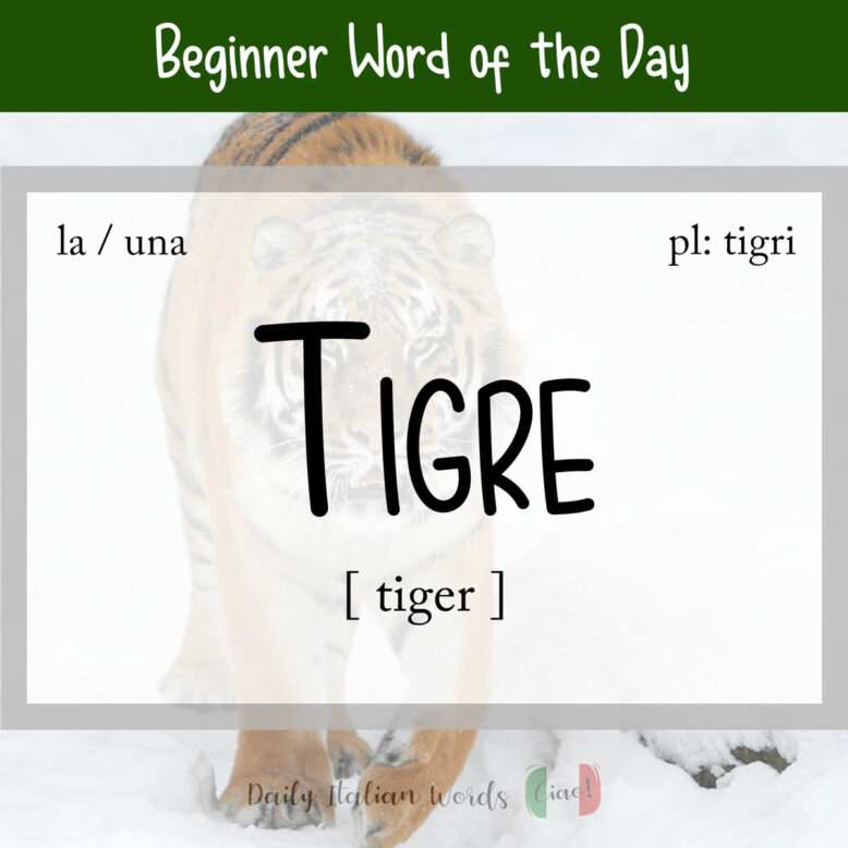 italian word for tiger