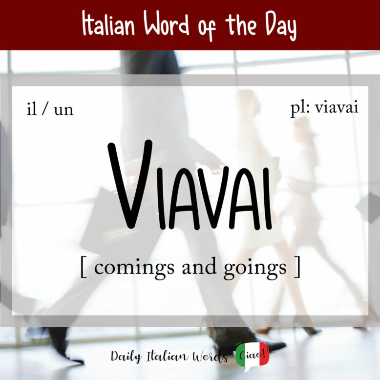 italian word viavai