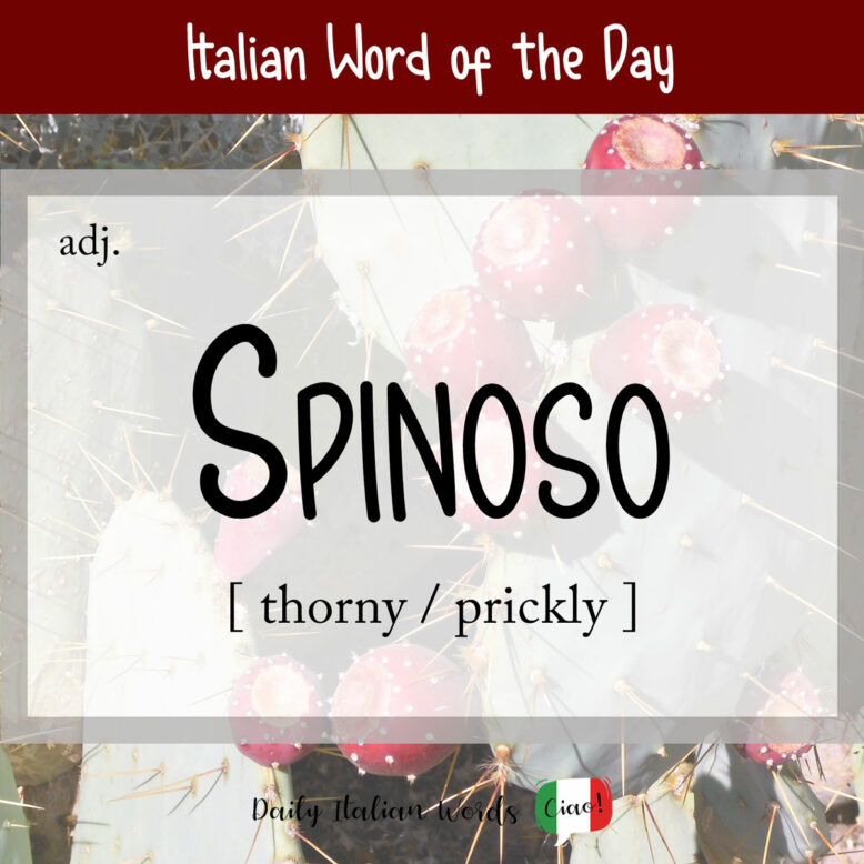 italian word for prickly