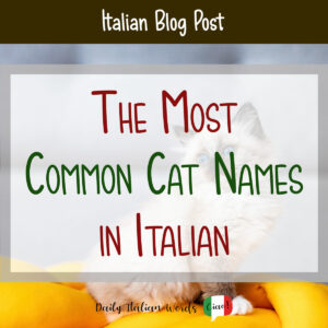 The 10 Most Common Italian Cat Names - Daily Italian Words