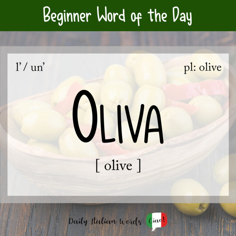 italian word for olive