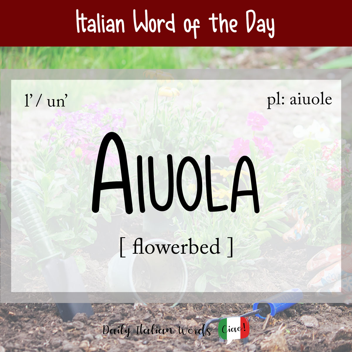 Italian Word of the Day Aiuola (flowerbed) LaptrinhX / News