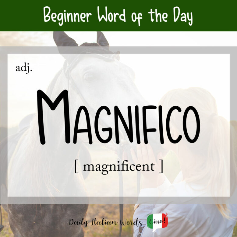 italian word for magnificent