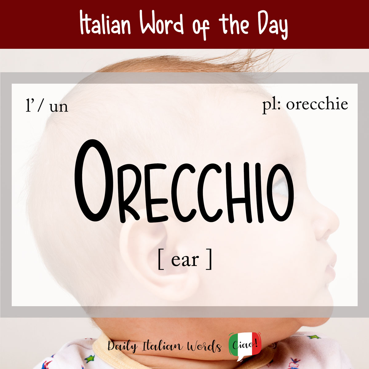 Italian Phrase of the Day: Orecchio (ear)