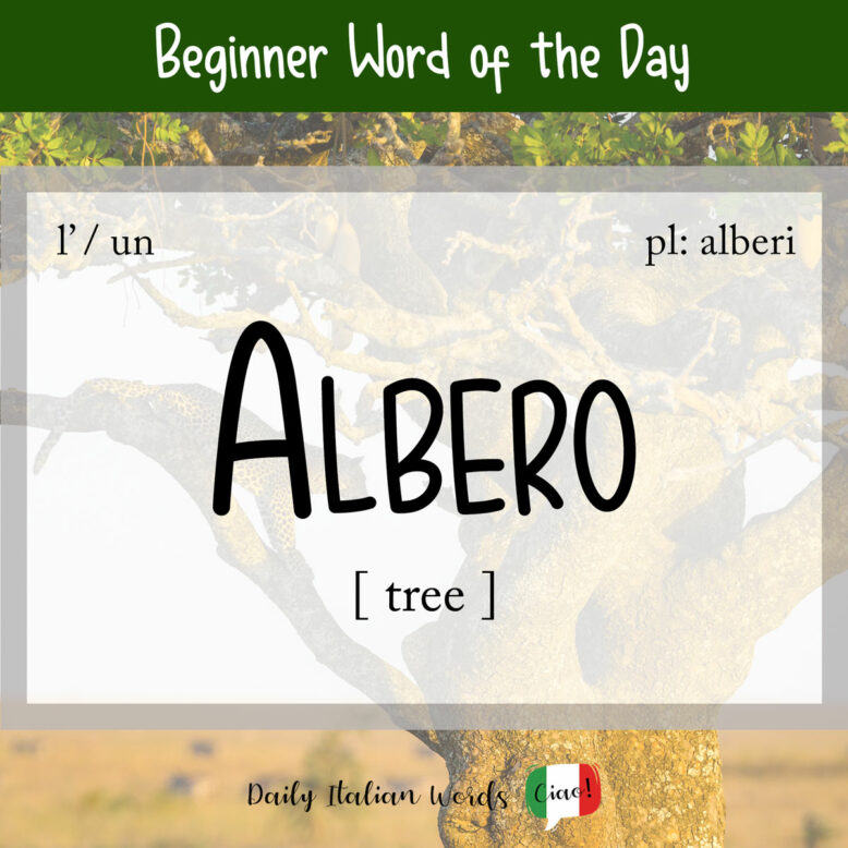 italian word for tree