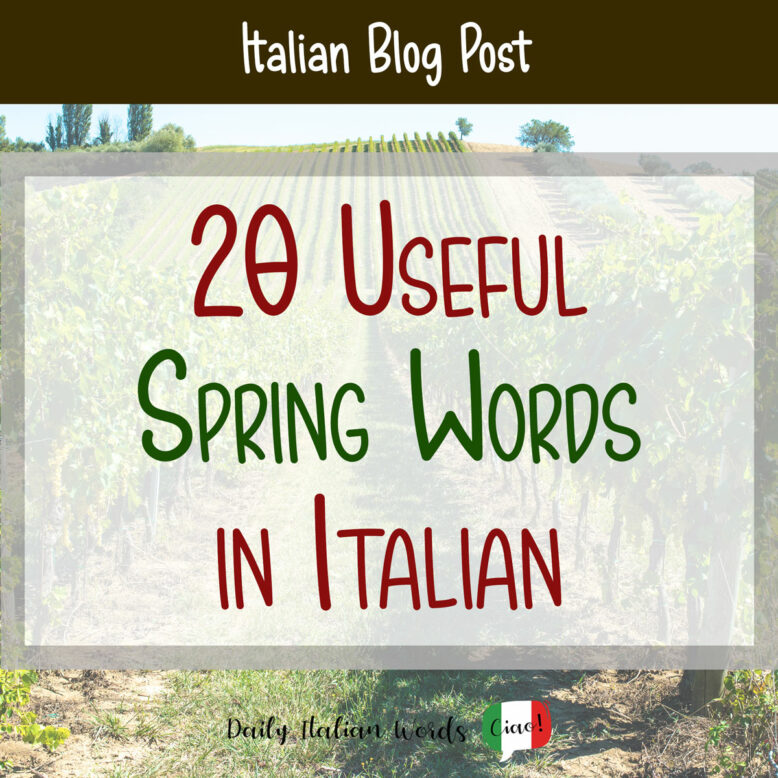 spring words in italian