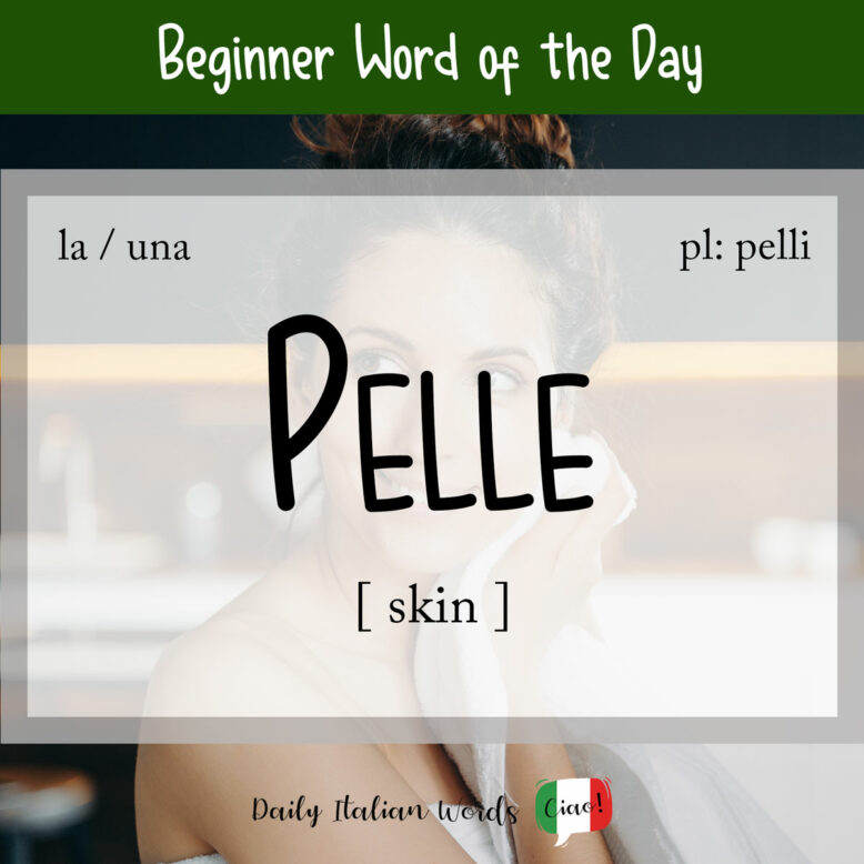 italian word for skin